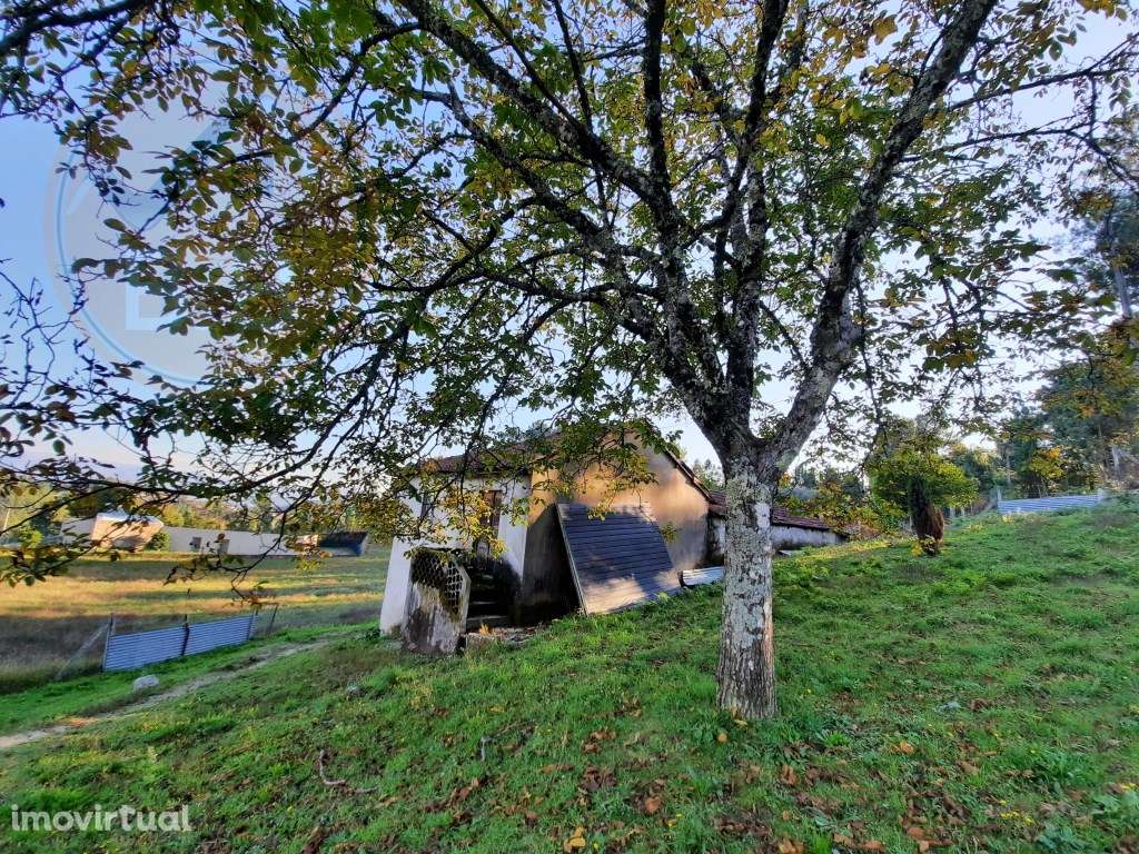 QUINTINHA COM CASA PARA RECUPERAR - Grande imagem: 4/27