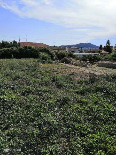 Terreno para lote Viana do Castelo - Grande imagem: 5/5