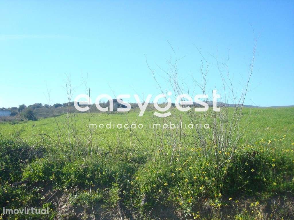 Terreno rústico de 7812 m2 - Grande imagem: 2/7