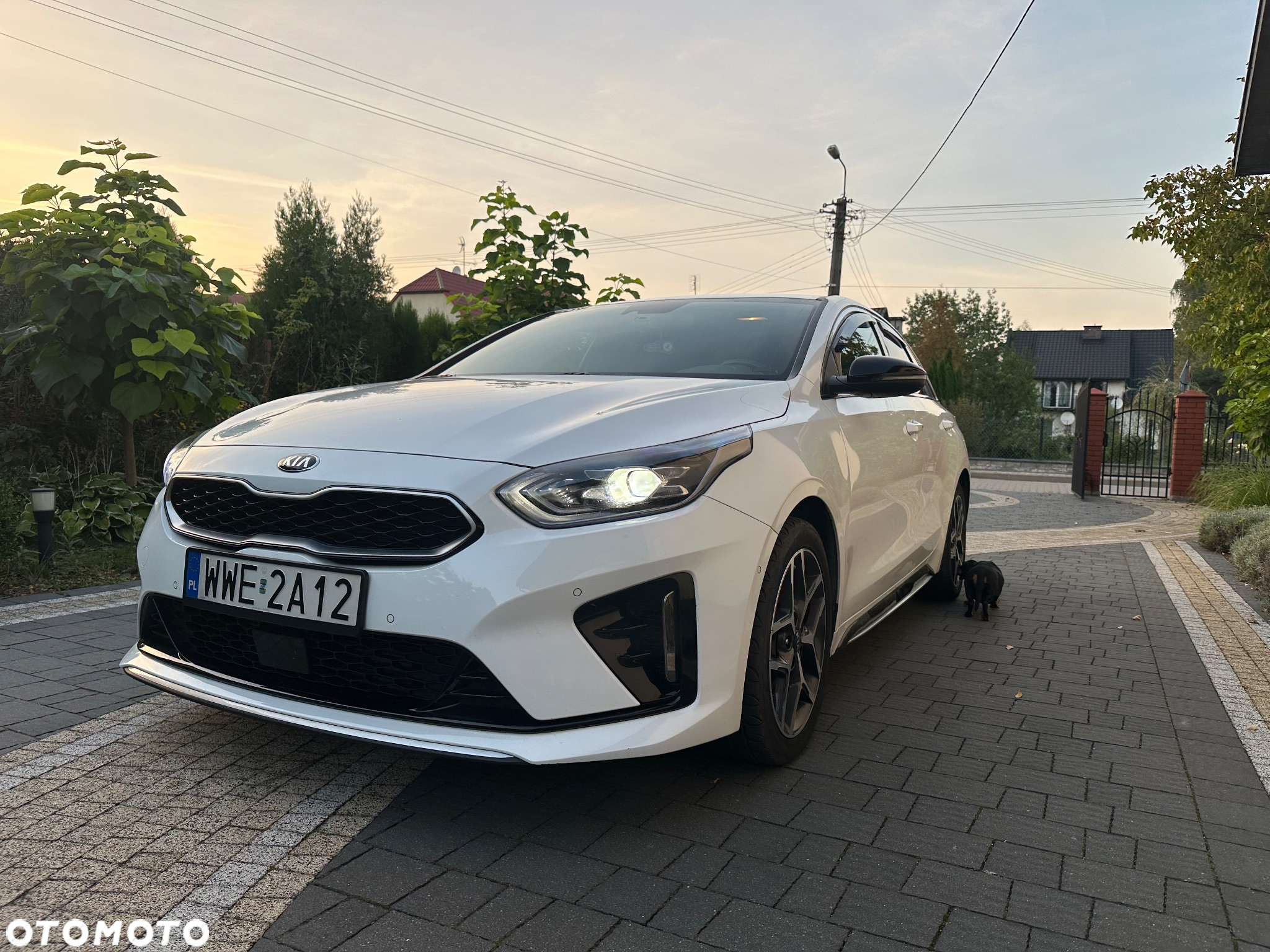 Kia ProCeed 1.6 CRDi GT Line DCT - 2