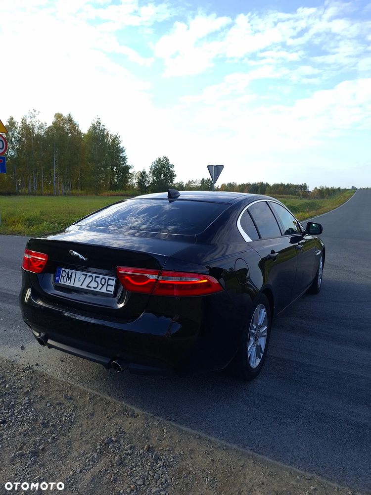 Jaguar Xe 2017 photo 3