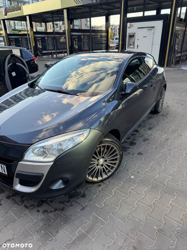 Renault Megane 2.0 16V TCE Dynamique - 12