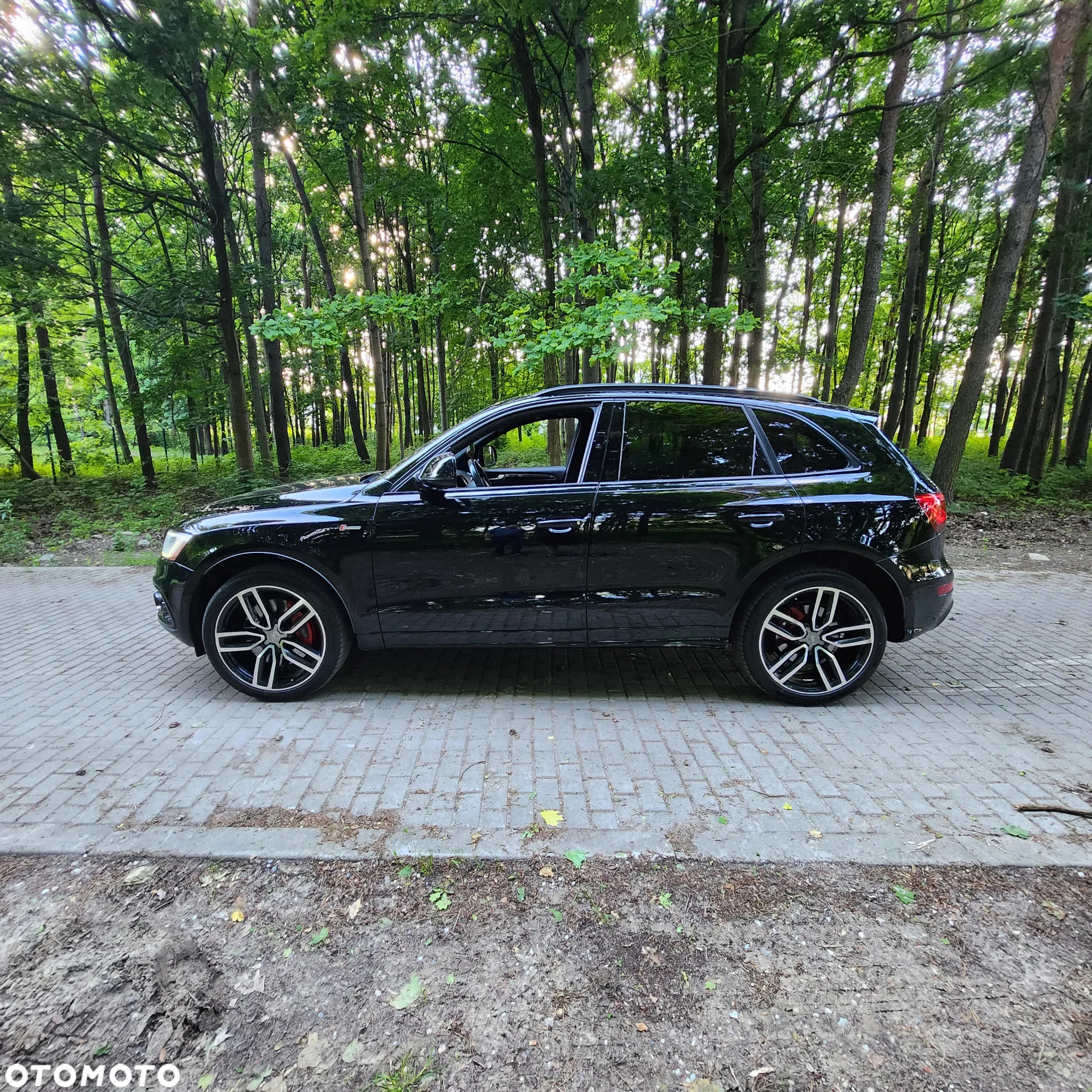 Audi SQ5 3.0 TFSI Quattro Tiptronic - 7