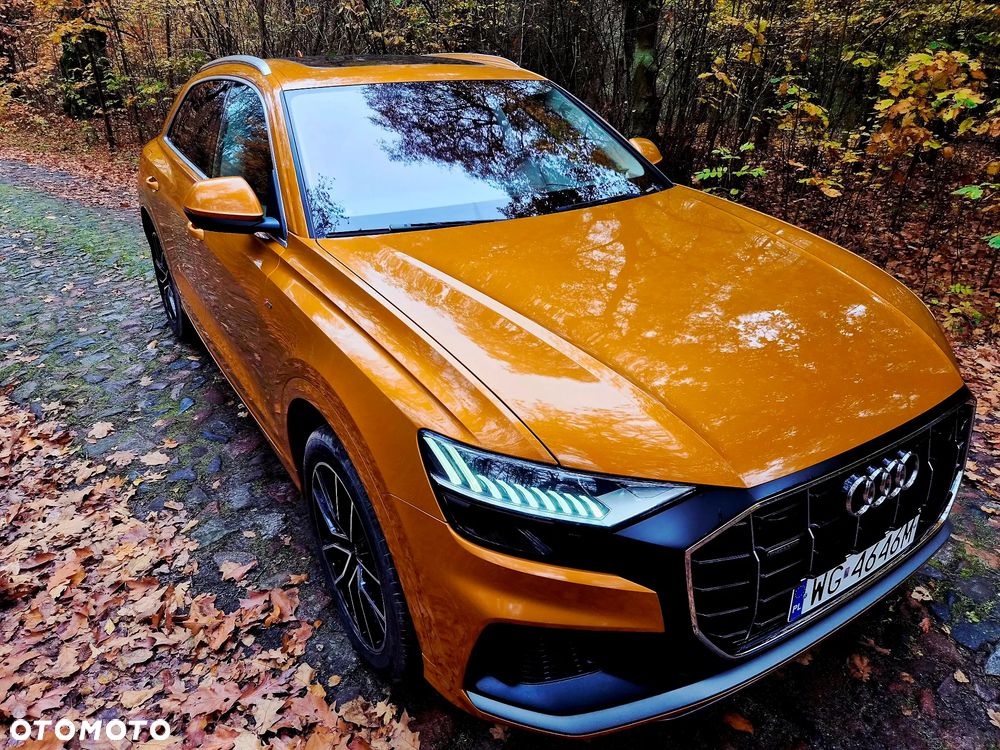 Audi Q8 - 14
