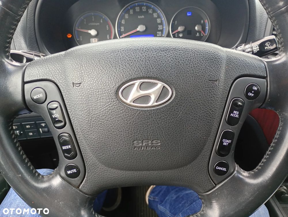 Hyundai Santa Fe - 14