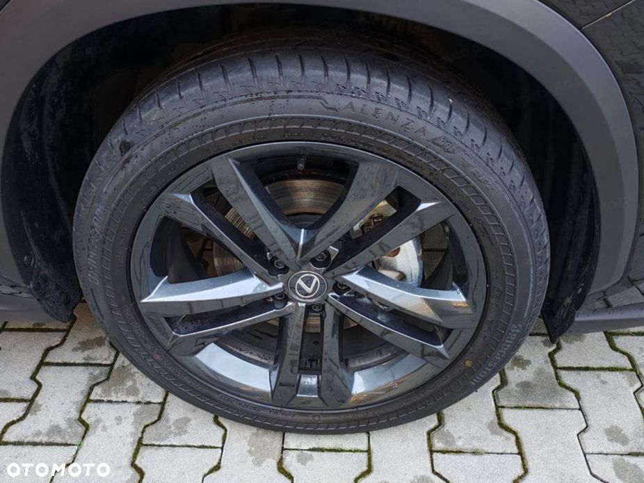 Lexus NX - 6