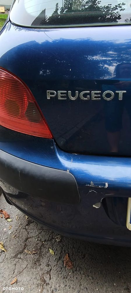 Peugeot 307 Break 110 Tendance - 9