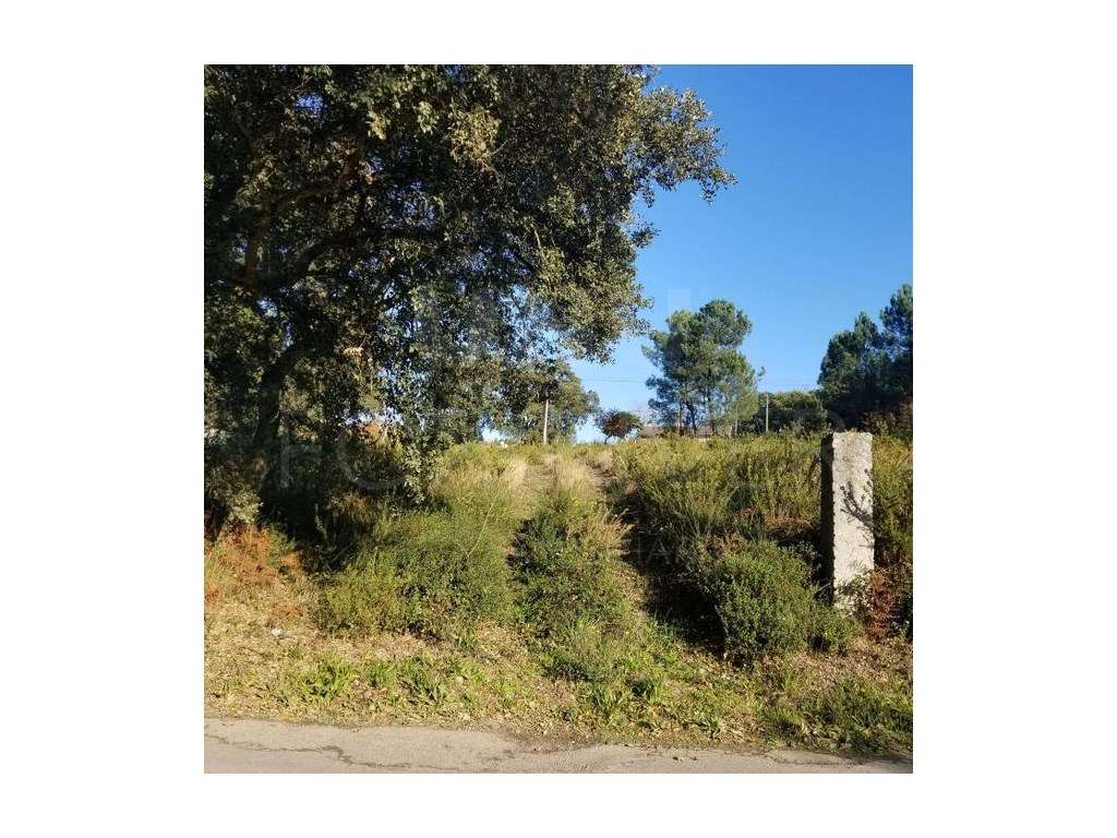 Terreno para Construção em Cerdal, Valença - Grande imagem: 2/5