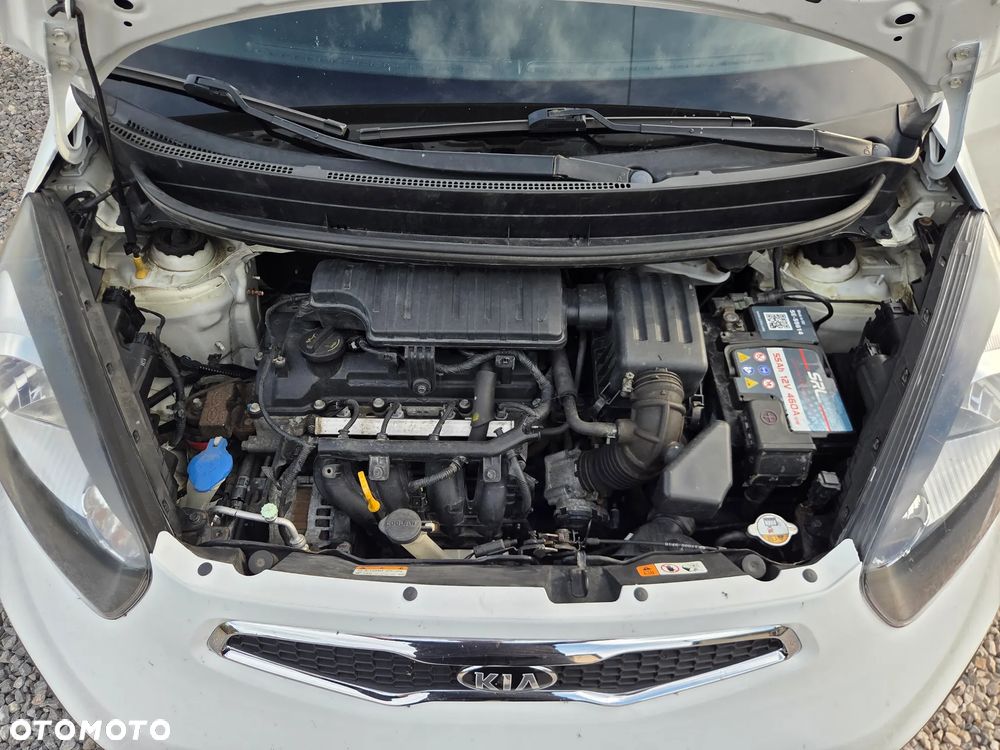 Kia Picanto 1.2 Dream Team Edition - 17