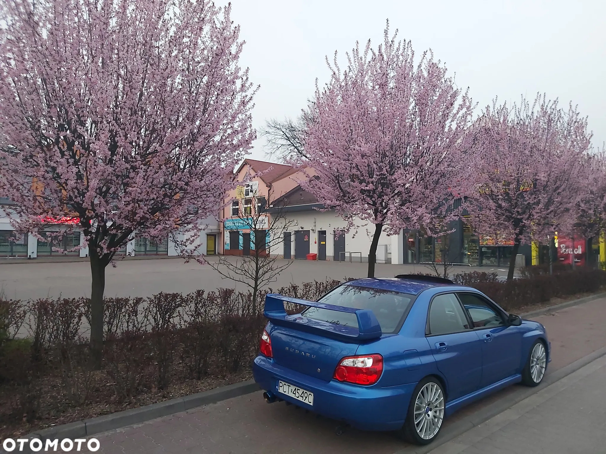 Subaru Impreza Kombi 2.0 WRX - 6