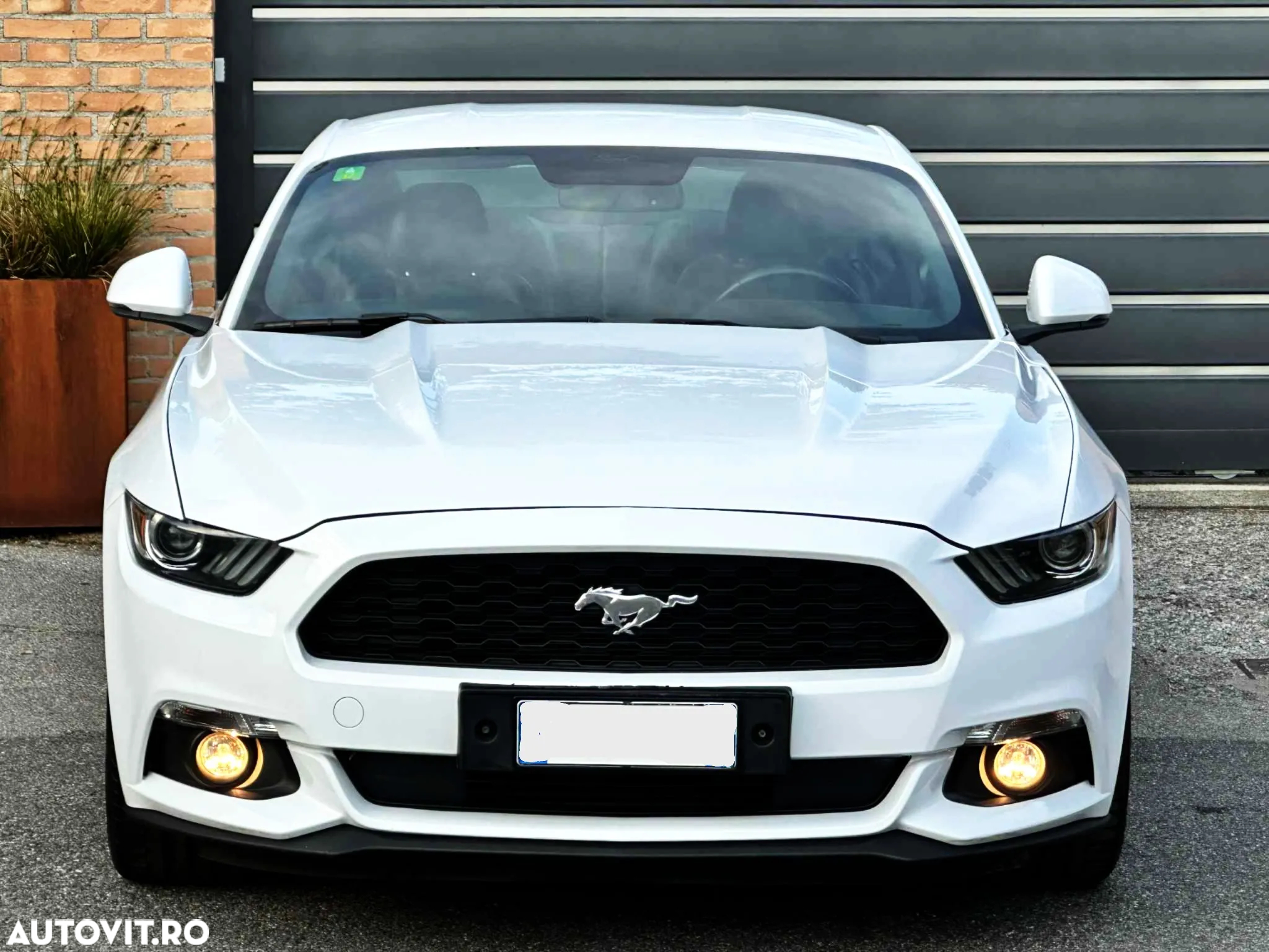 Ford Mustang 2.3 Eco Boost Aut. - 2