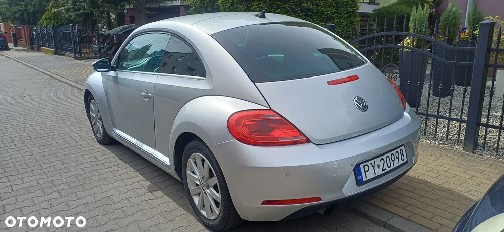 Volkswagen Beetle - 17