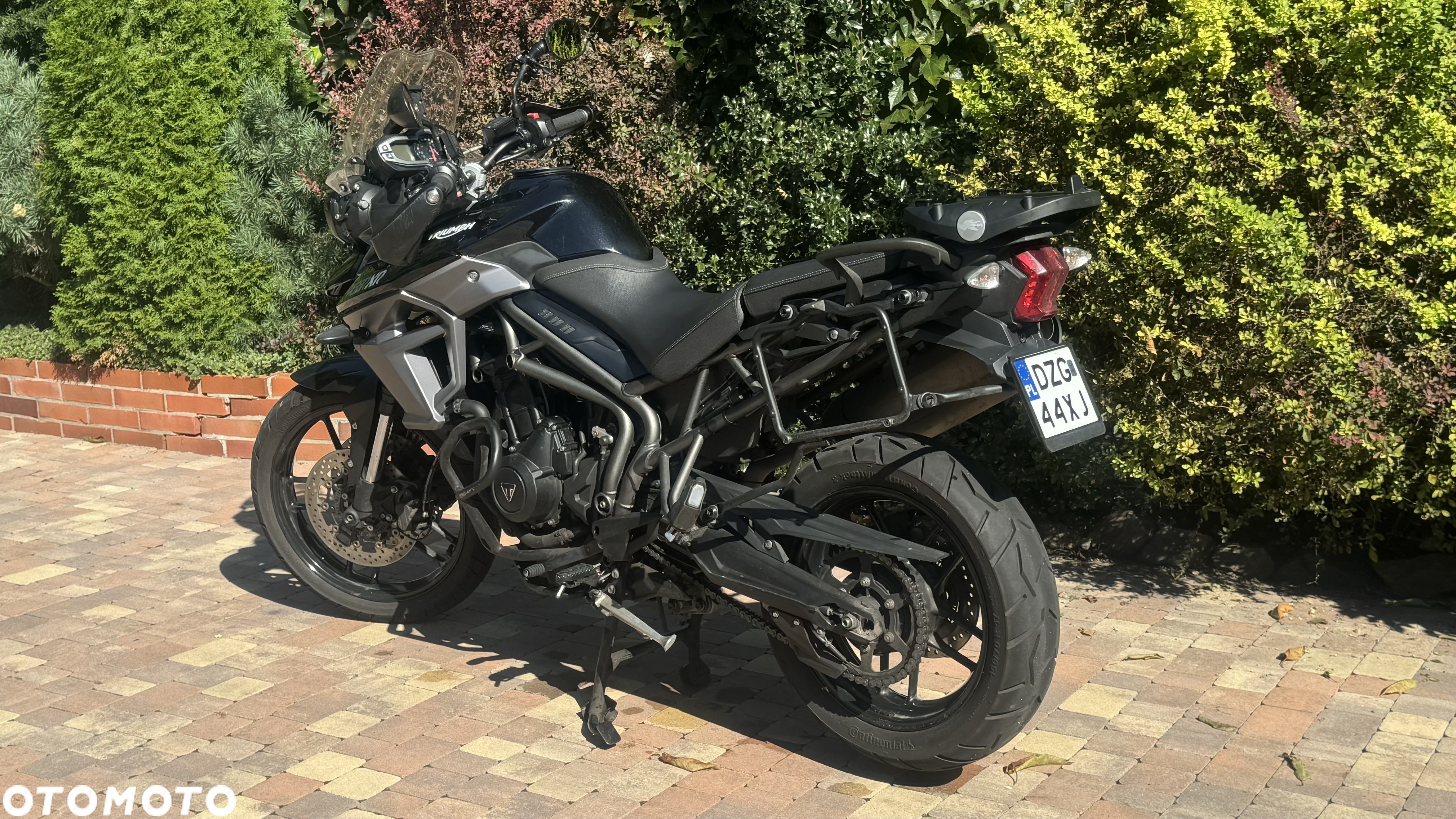 Triumph Tiger