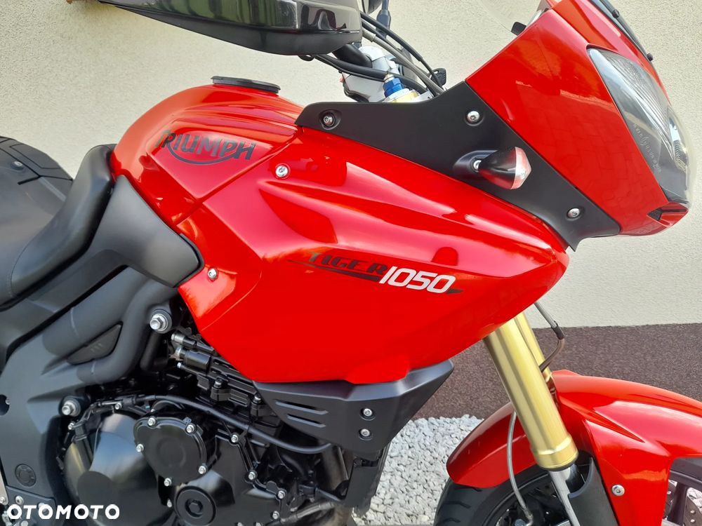 Triumph Tiger - 13
