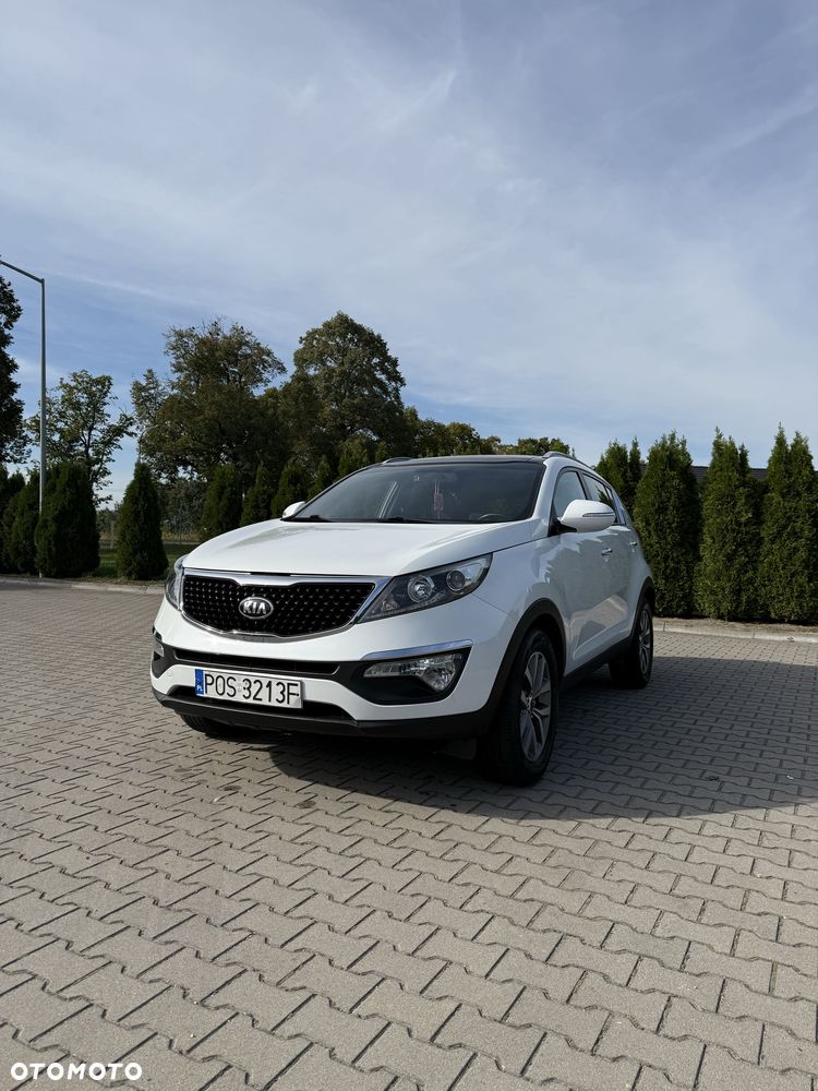 Kia Sportage - 1