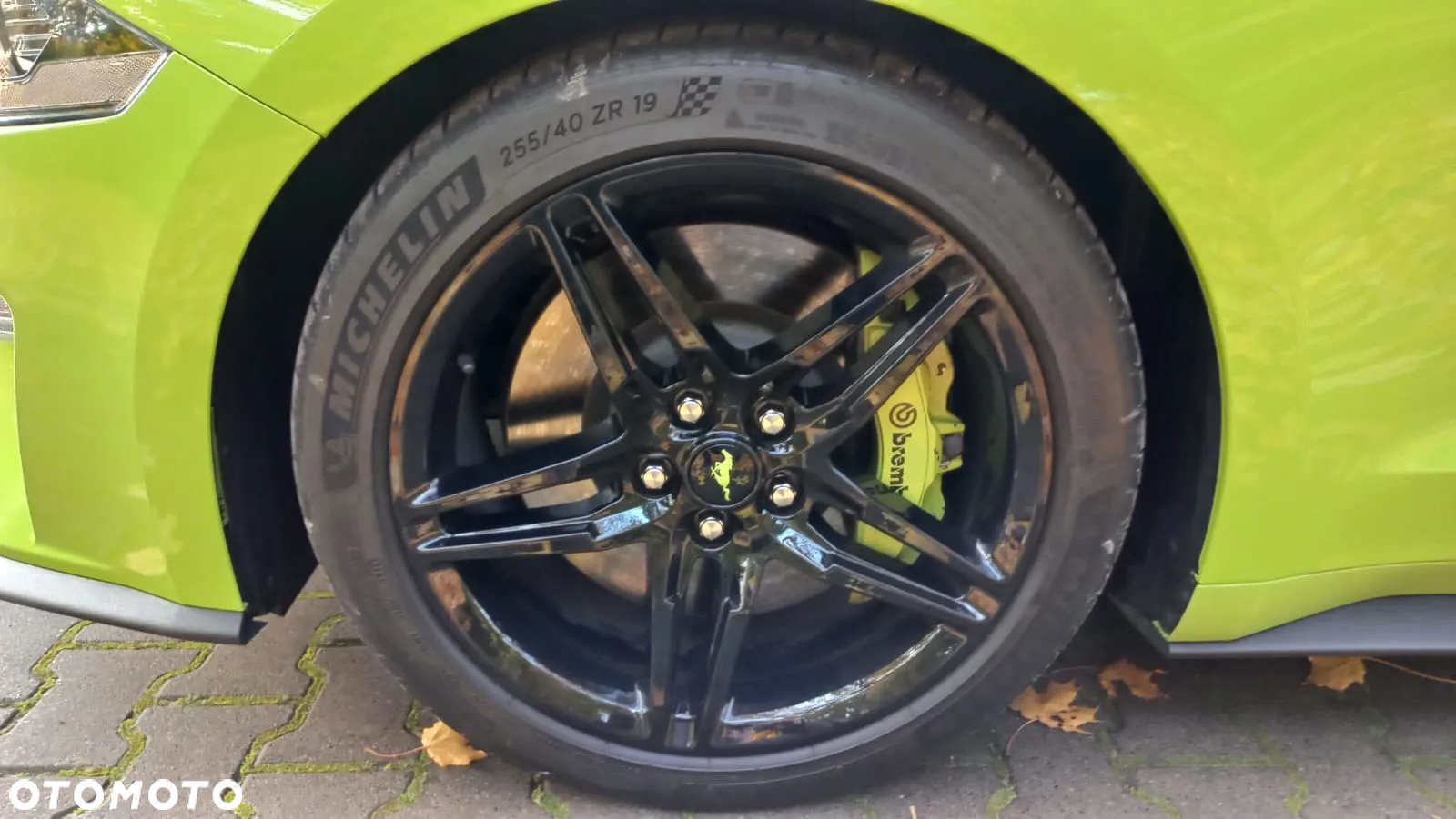 Ford Mustang 5.0 V8 GT - 14