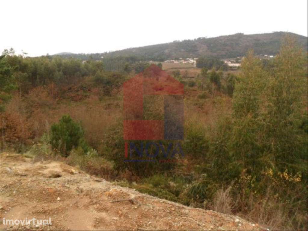 Vende-se Terreno, Cervães - Grande imagem: 2/6