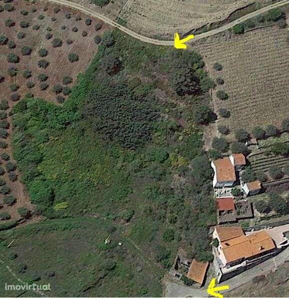 Quintinha no Douro com imóvel para recuperar - Grande imagem: 2/5