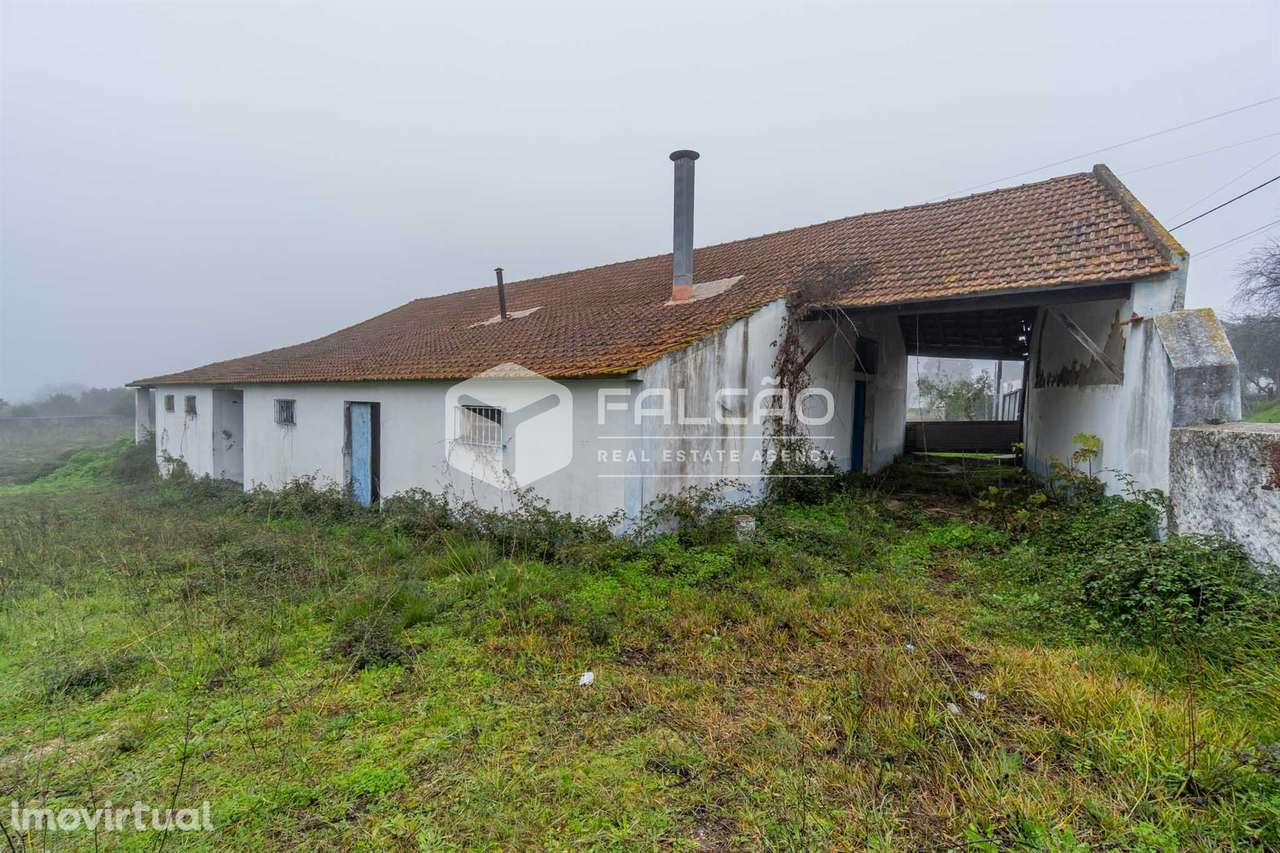 Fábrica/Indústria  Venda em Olaia e Paço,Torres Novas - Grande imagem: 2/32