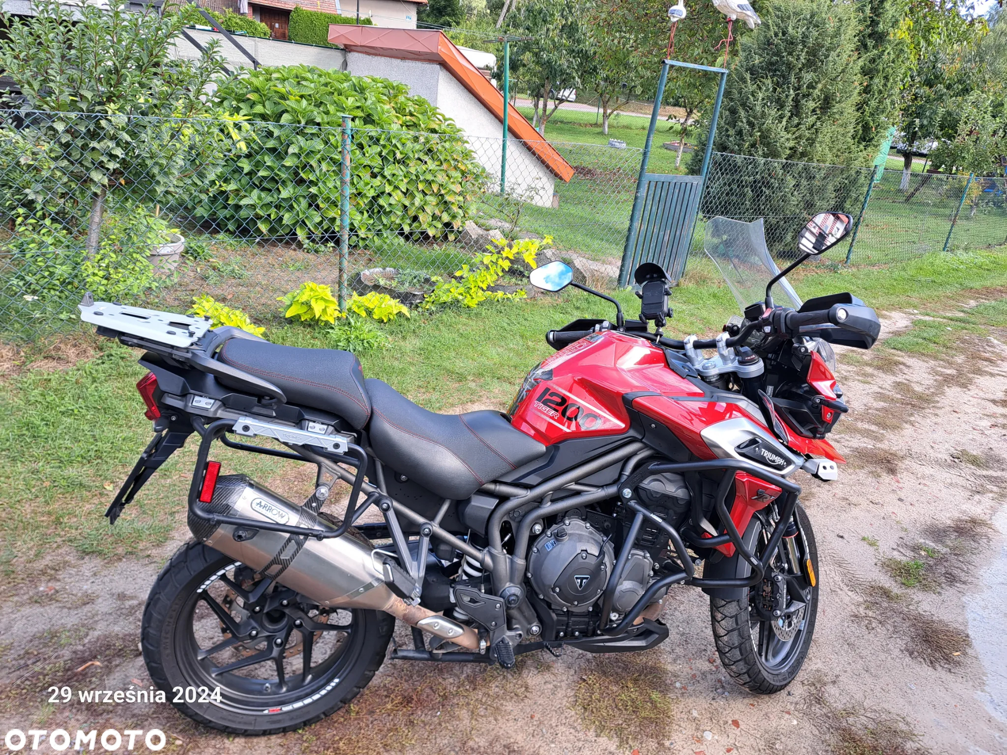 Triumph Tiger - 5