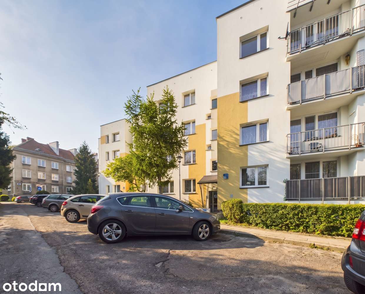 2 pokoje - 49,70 m2 - ul. Brzozowa - niski blok - do remontu !