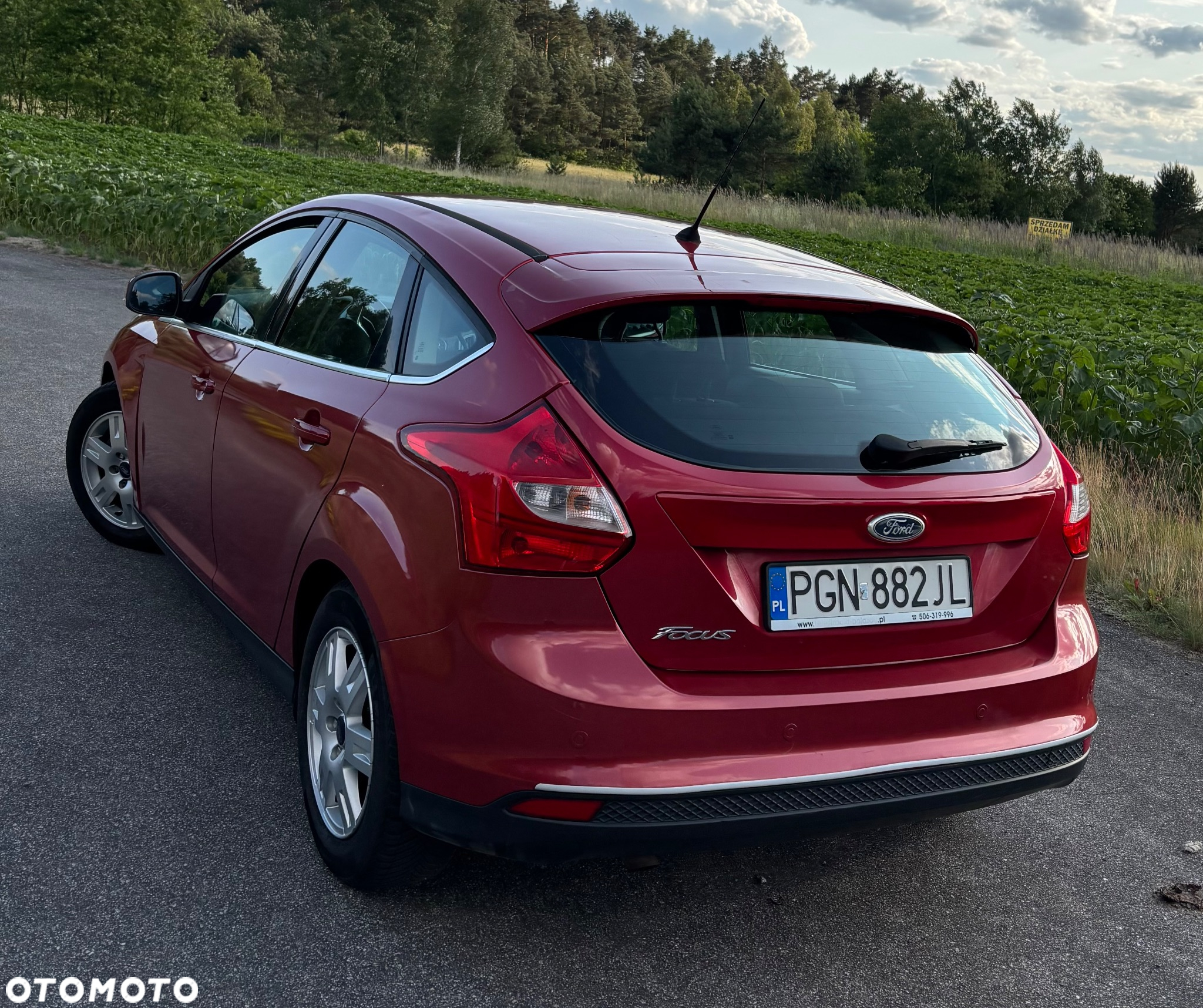 Ford Focus - 4