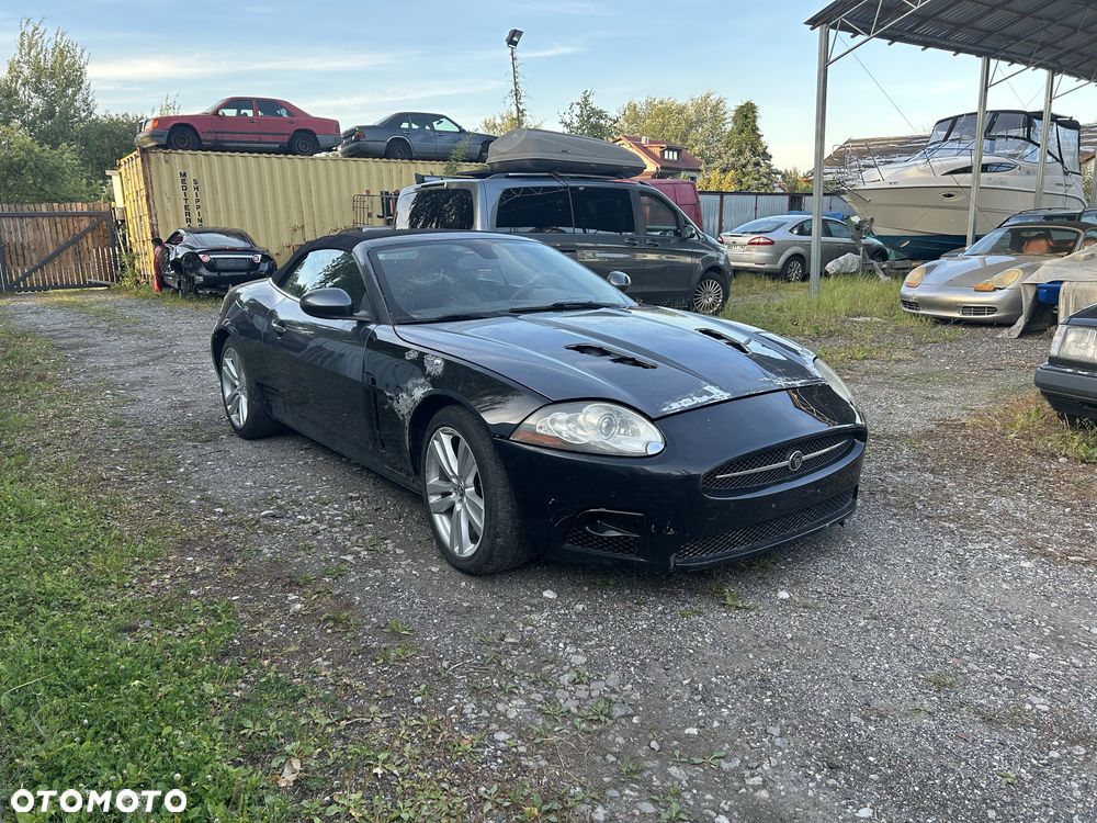Jaguar Inny - 2