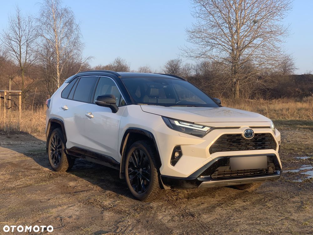Toyota RAV4 2.5 Hybrid Selection 4x2 - 10