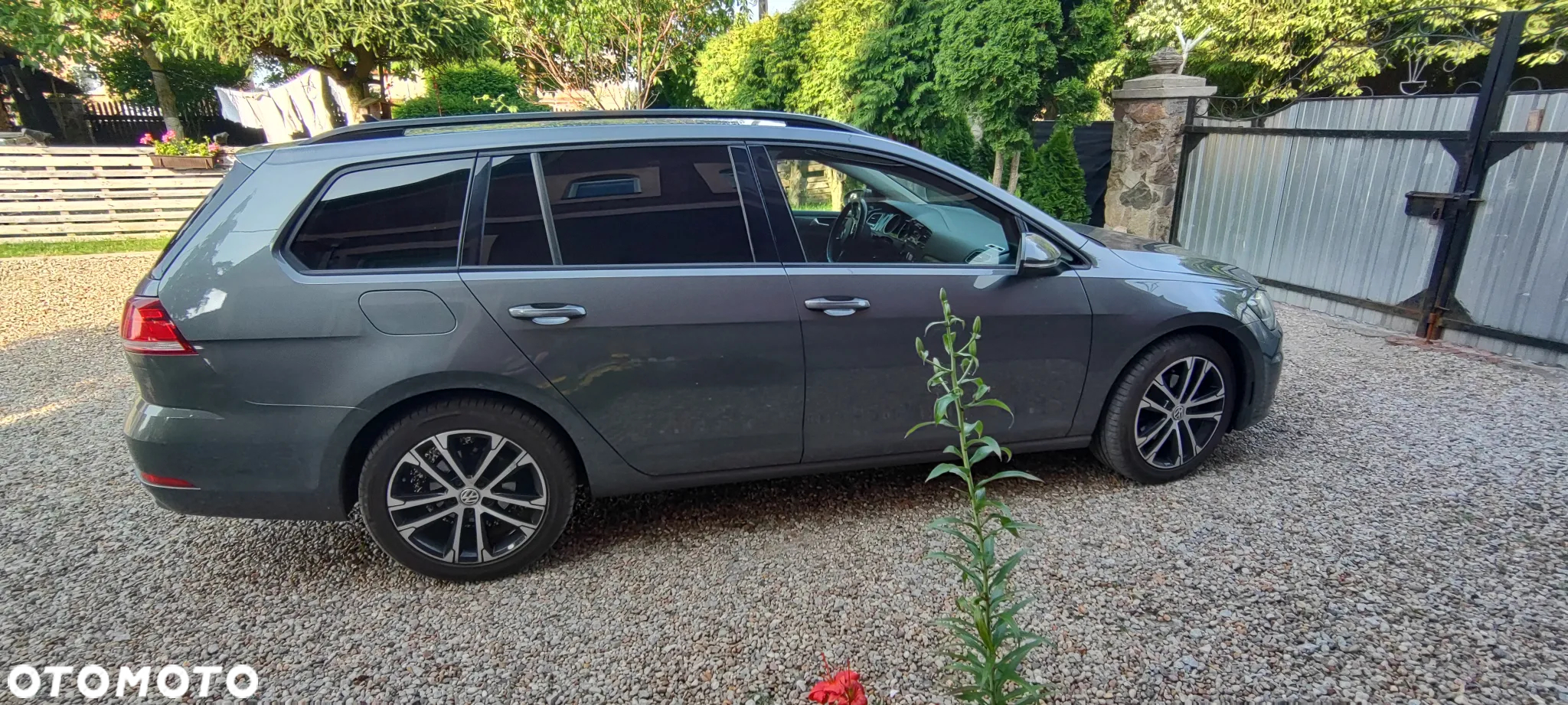 Volkswagen Golf - 7