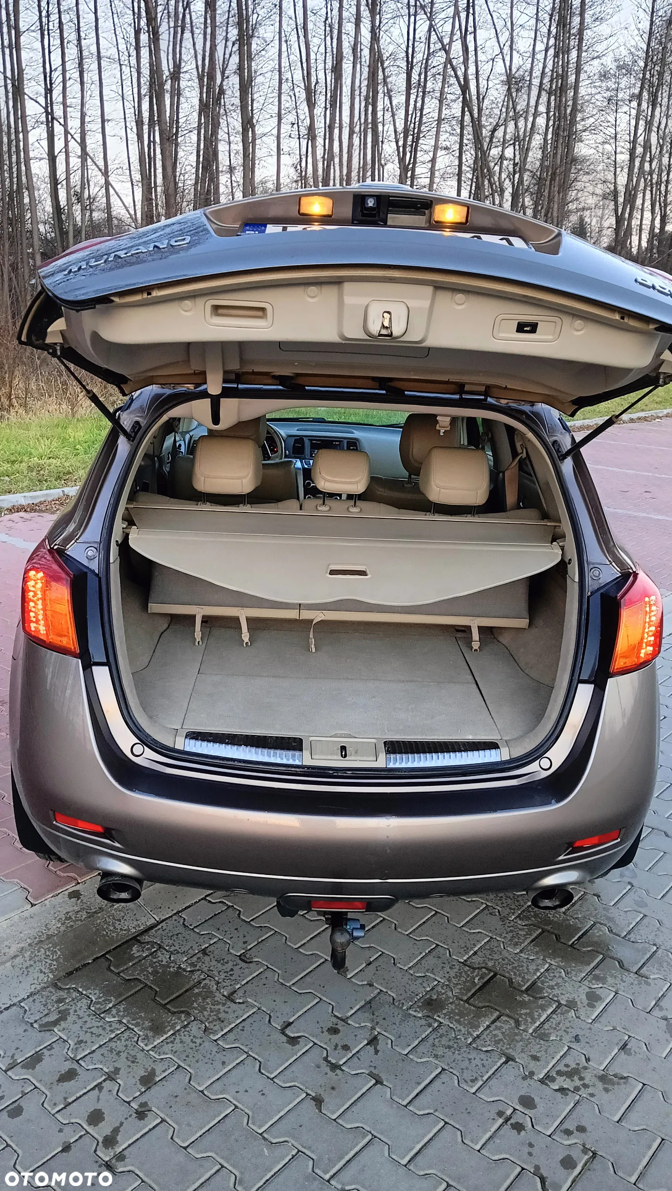 Nissan Murano 2.5 D Premium - 11