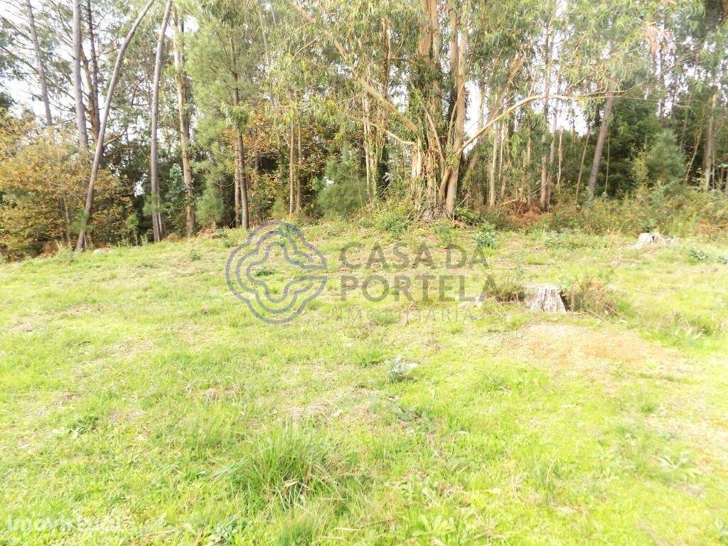 Terreno com 8620 M2. Junto ao Nó da Autoestrada A1. - Grande imagem: 5/12