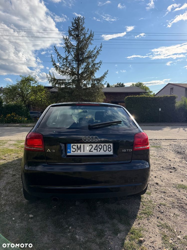 Audi A3 3-drzwiowe 1.6 TDI DPF Ambition - 3