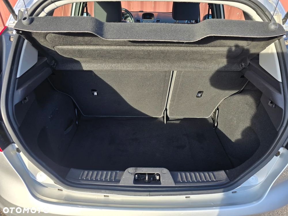 Ford Fiesta 1.25 Champions Edition - 15