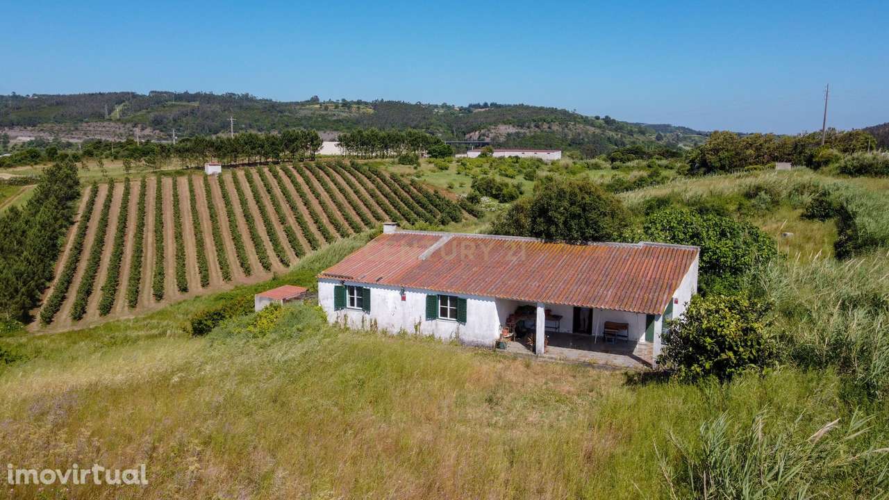 Terreno rústico na Roliça, Bombarral - Grande imagem: 2/12