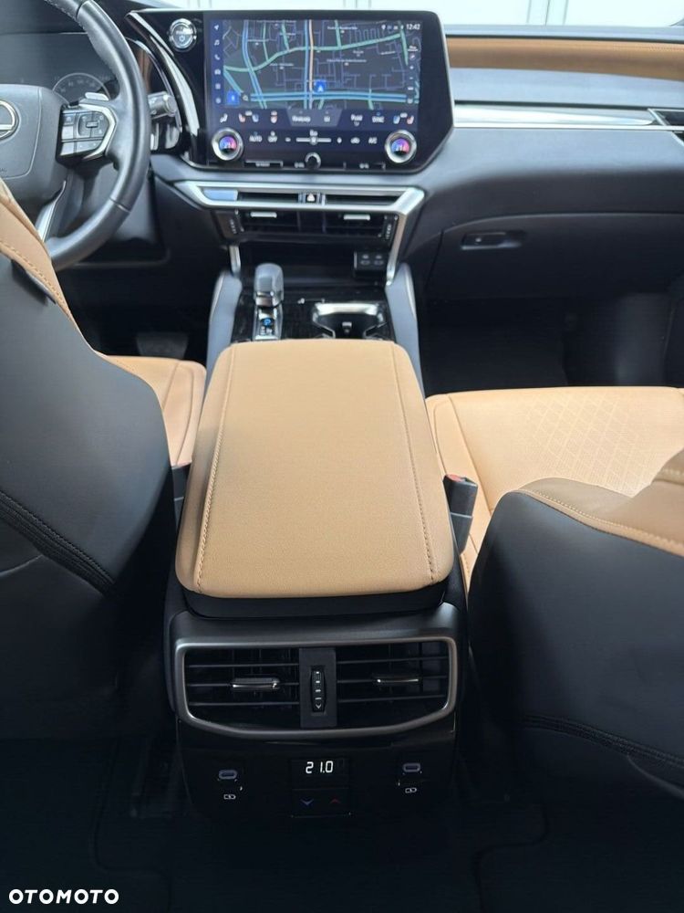 Lexus RX - 25
