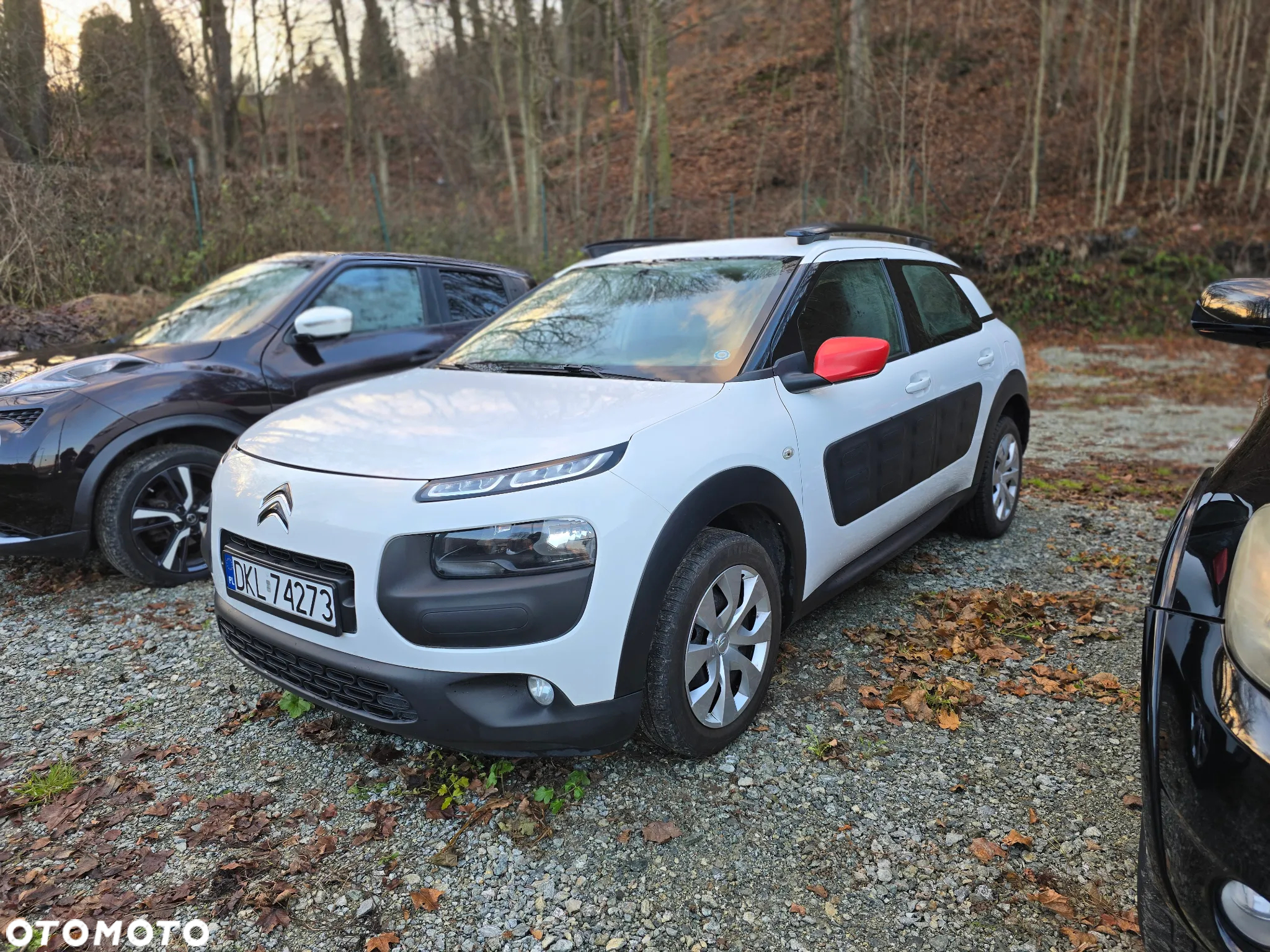Citroën C4 Cactus 1.2 PureTech Feel Edition - 13