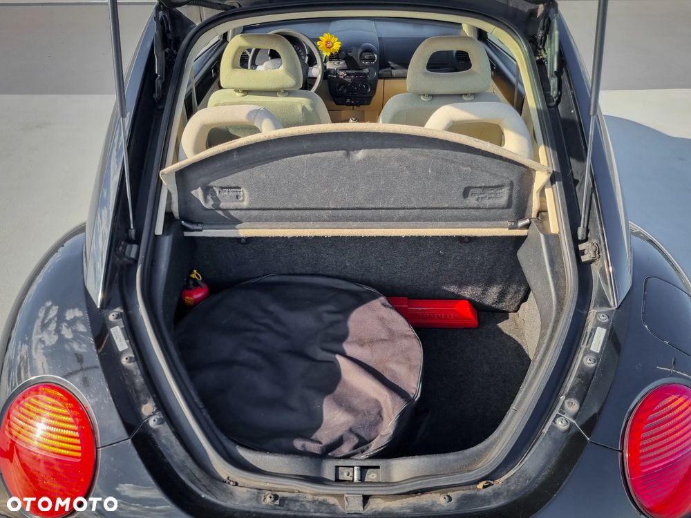 Volkswagen Beetle - 8