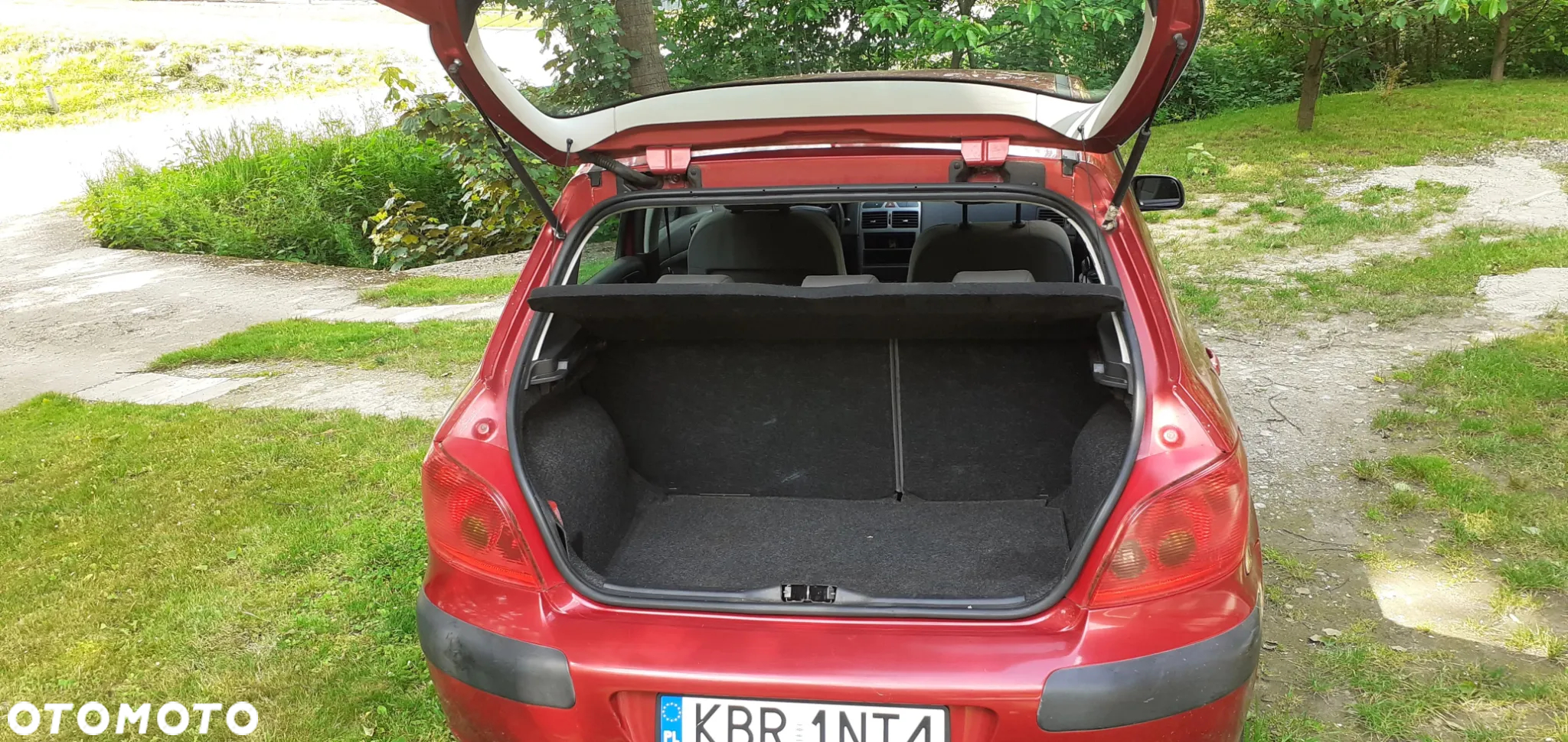 Peugeot 307 1.6 - 9