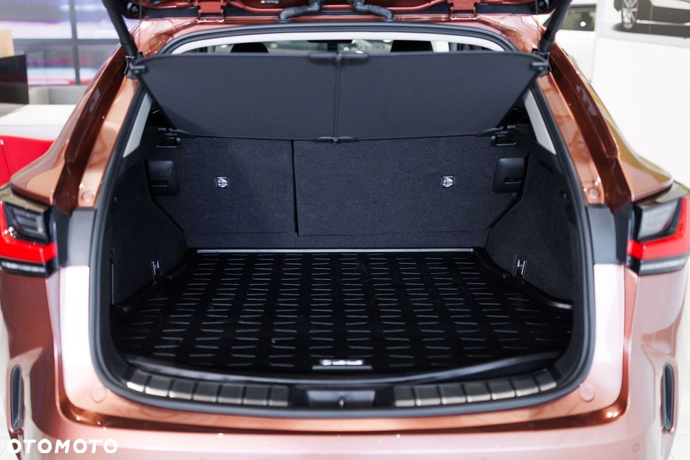 Lexus NX - 23