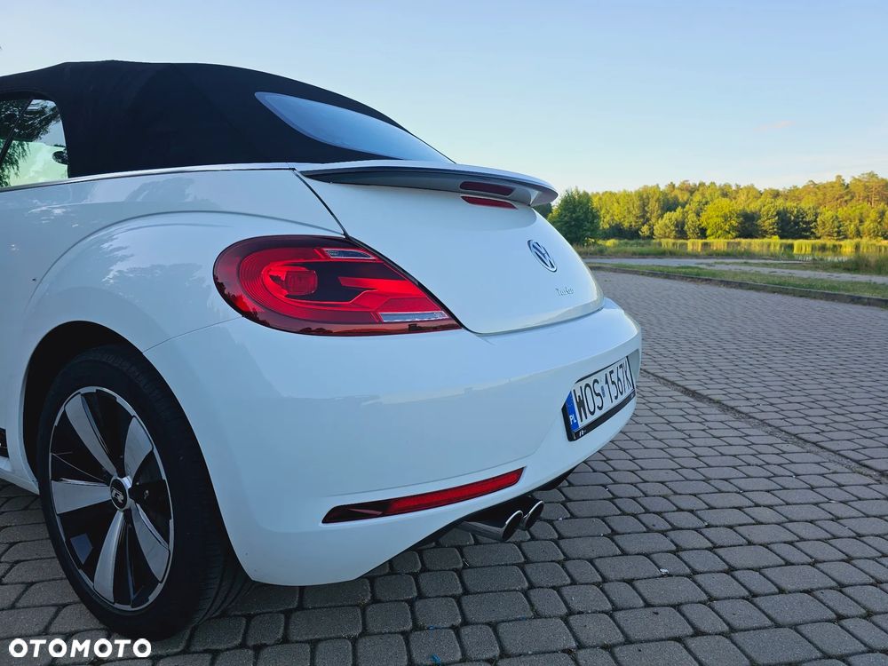 Volkswagen Beetle - 6