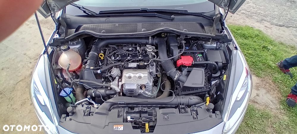 Ford Fiesta - 25