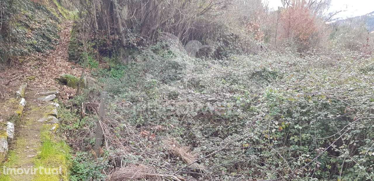 Terreno Rústico em Moura Morta - Grande imagem: 3/3