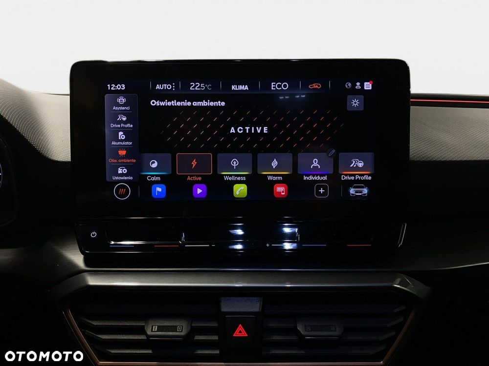 Cupra Leon Sportstourer - 40