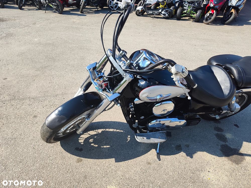 Kawasaki Vulcan - 10