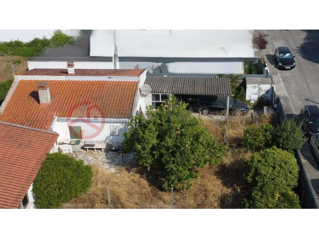 Terreno com Benfeitoria em Aldeia de Oleiros, Azeitão - Grande imagem: 2/19