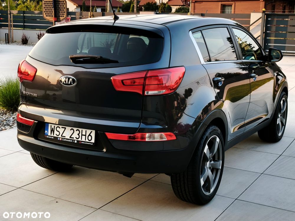 Kia Sportage - 35