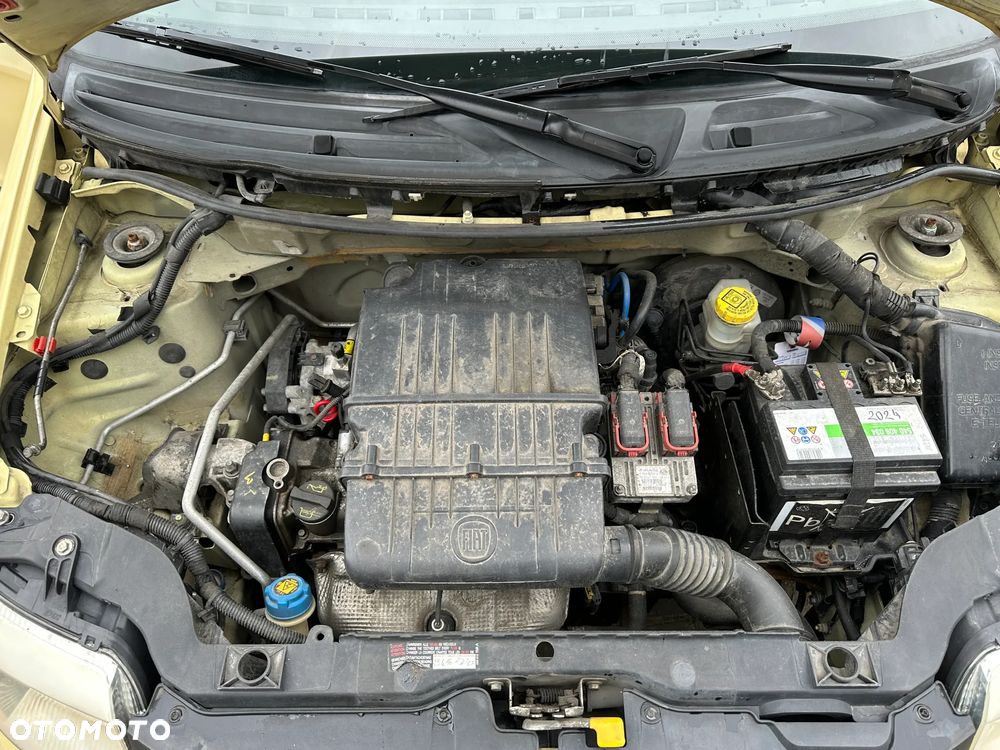 Fiat Panda 1.2 Active - 23