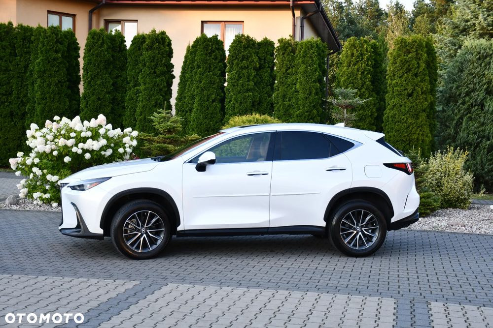 Lexus NX - 6