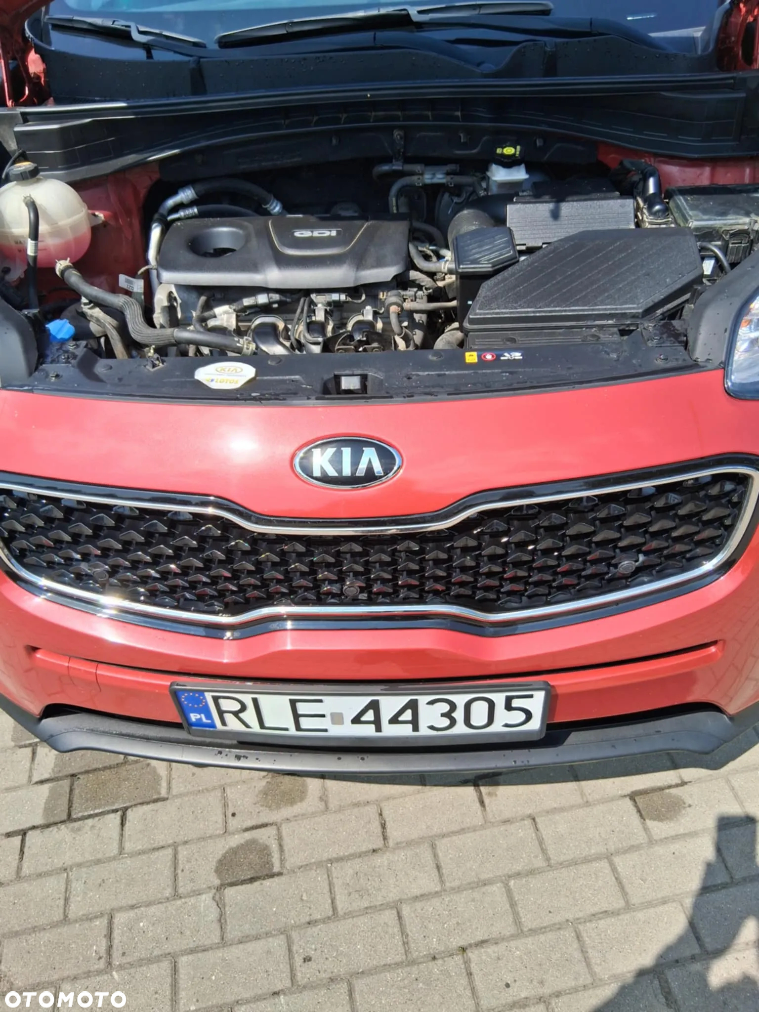 Kia Sportage - 7