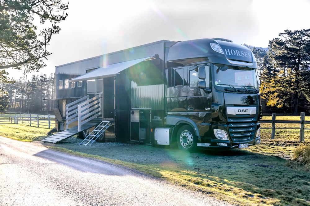 DAF XF 480 - 3